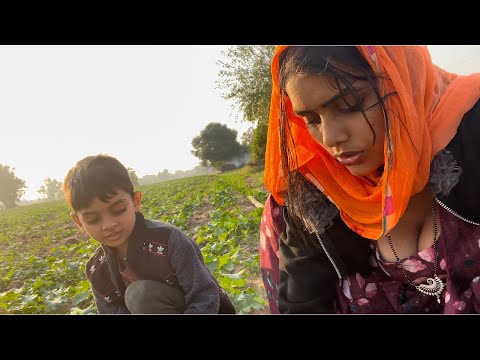 गाँव में देसी ख़ाना ।खेतों में से पालक और बथुआ   लाई ॥🥰🥰👌 @dancermeenu  #trend  #video
