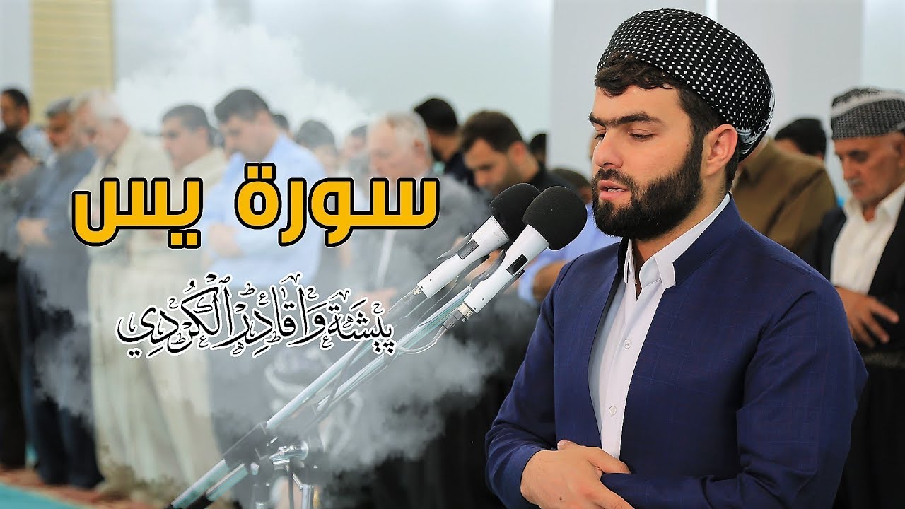 تلاوة  مريحة و هادئة من سورة يس للقارئ بيشةوا قادر الكردى #رمضان_2019