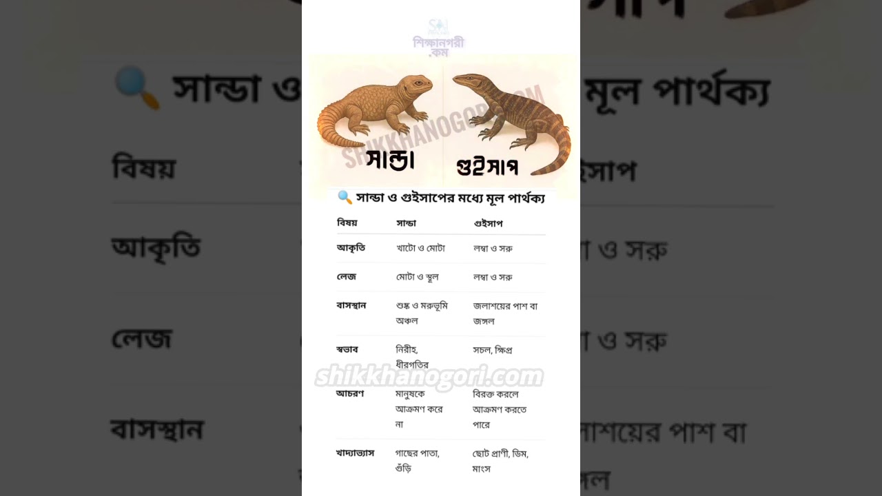 সান্ডা ও গুইসাপ এর মধ্যে পার্থক্য| সান্ডা চেনার উপায় #সান্ডা #sanda #viral | সান্ডা কেন ভাইরাল sanda