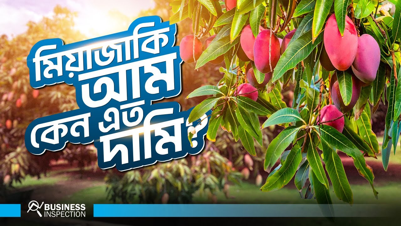৫ লাখ টাকার জাপানি আম বাংলাদেশে কেন হাজার টাকা? | Why Miyazaki Mango So Expensive?