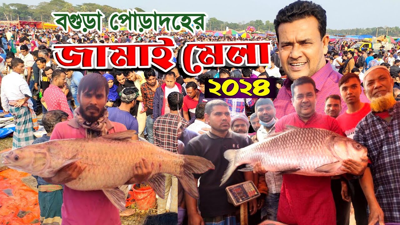 ৪০০ বছরের পুরনো বগুড়ার ঐতিহ্যবাহী পোড়াদহের জামাই মেলা 2024।। biggest fish fair in Bangladesh