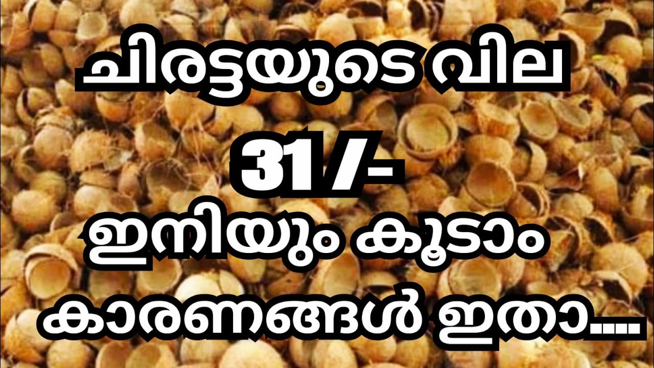 ചിരട്ടയ്ക്ക് വില കൂടാനാണ് സാധ്യത!! ഈ വീഡിയോയിൽ പറയുന്നത് ശരിയാണ്!! Coconut-shell price may rise!!