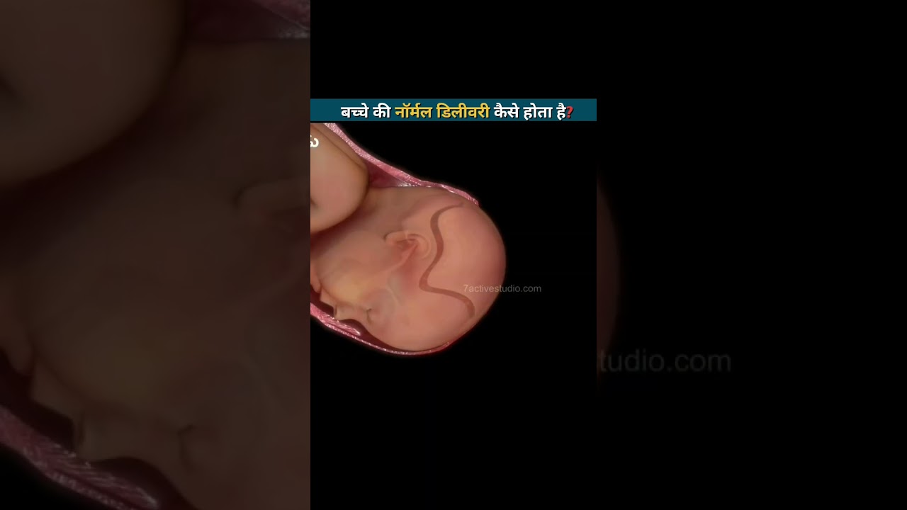 बच्चे की नॉर्मल डिलीवरी कैसे होता है? | Normal Delivery | Modvr-3D