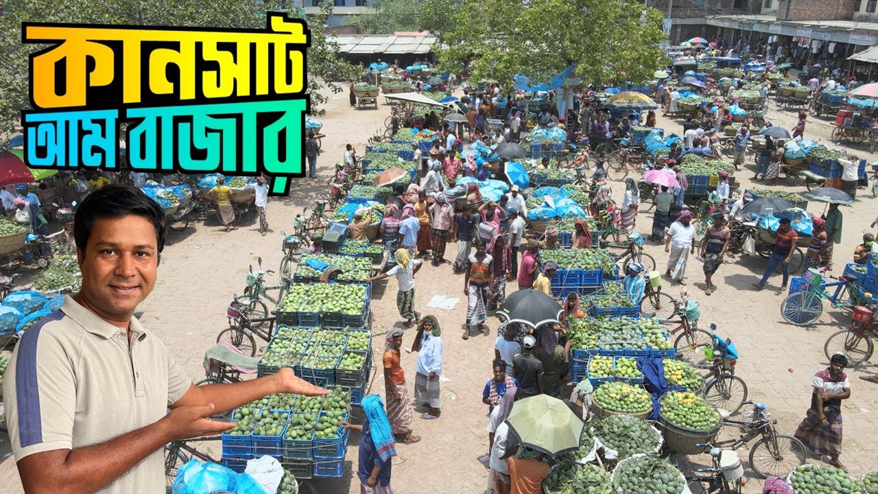 দেশের সবচেয়ে বড় আমের বাজার কানসাট || Kansat Mango Market || Chapai Nawabganj || Kansat