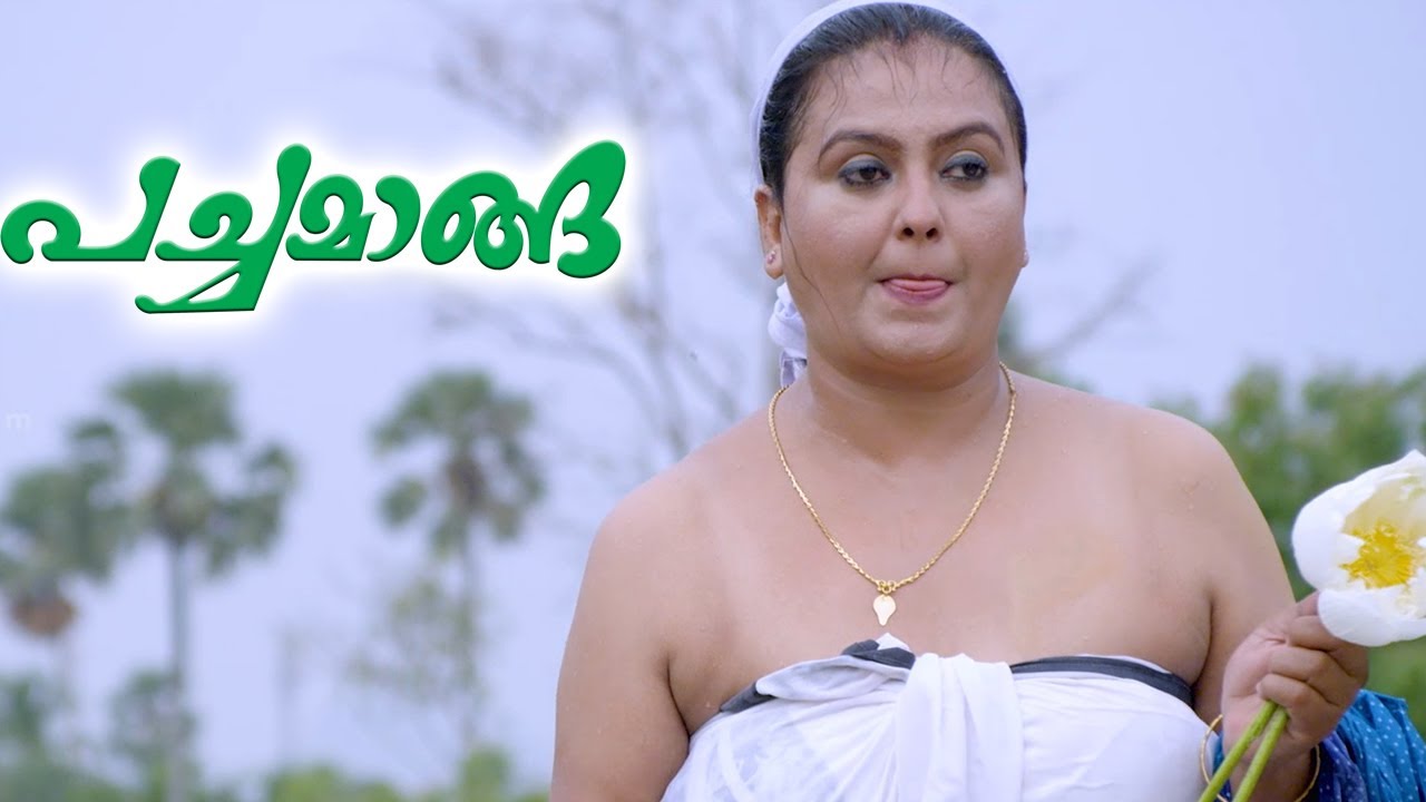 വാസു അണ്ണനെ ഈ വഴിക്കൊന്നും കാണാറില്ലലോ |  Pachamanga Movie Scene | Now Streaming On Saina Play Ott |