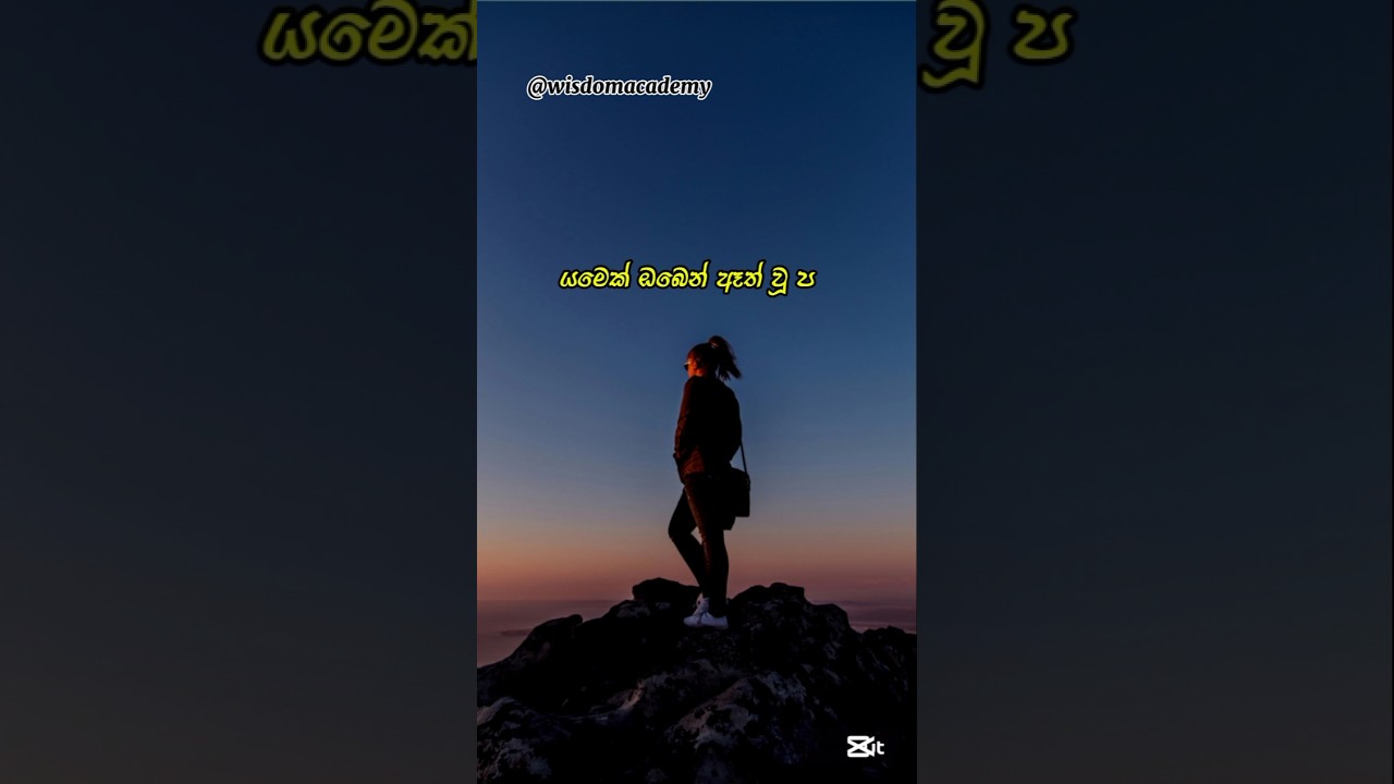 කතාව හරි නම් කමෙන්ට් කරන්න 🎯💯 | sinhala wadan | adara wadan | whatsapp | sad #wadan #sinhala #sad