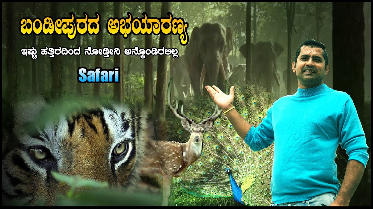 ಬಂಡೀಪುರ ಅಭಯಾರಣ್ಯ | ಹುಲಿಗಳ ತಾಣ | Bandipura Forest Safari | Bandipur Tiger Reserve | Sathish Eregowda