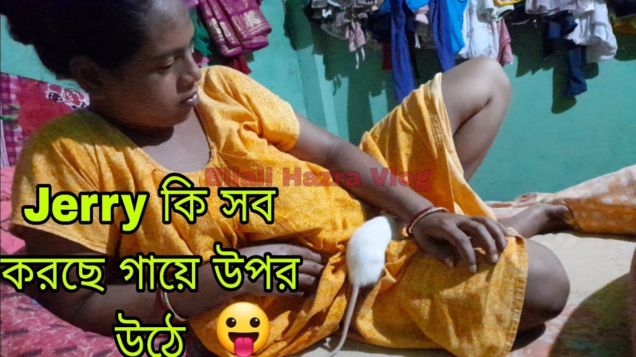 দেখো আমার জেরী সোনার দুষ্টুমি || Night Vlog || Bengali Vlog