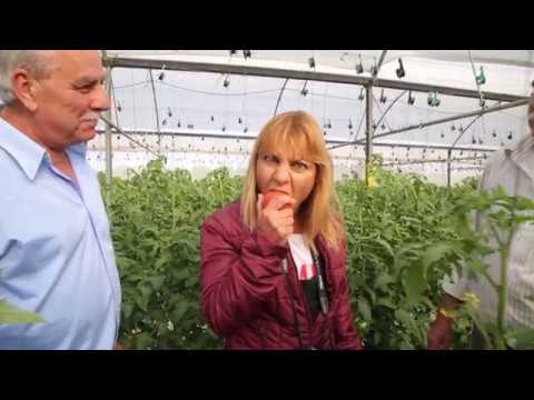 Σαν την Κύπρο - Μαρώνι - Trailer