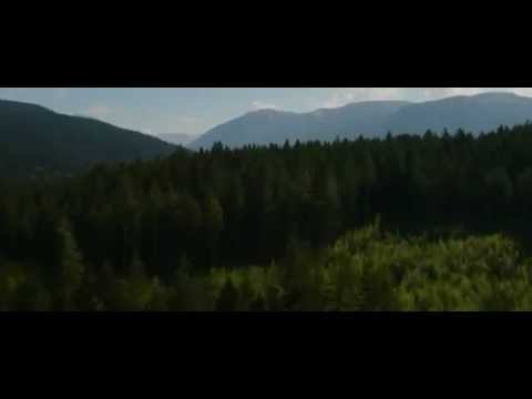 Смотреть Сумерки. Сага. Рассвет: Часть 2 + торрент