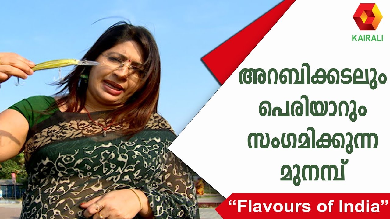 അറബിക്കടലും പെരിയാറും സംഗമിക്കുന്ന മുനമ്പ് | Lakshmi Nair | Munambam Beach | Cherai Beach
