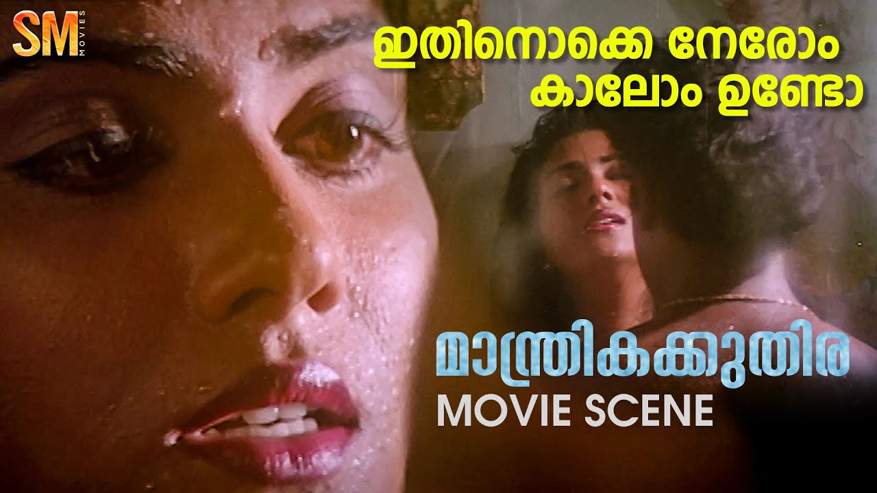 ഇതിനൊക്കെ നേരോം കാലോം ഉണ്ടോ | Manthrika Kuthira Movie scene | Vani Viswanath | Manoj K Jayan