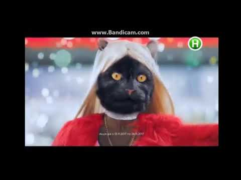 Реклама Эльдорадо/ чорна п'ятниця/ холодильник Samsung за 11 999 грн