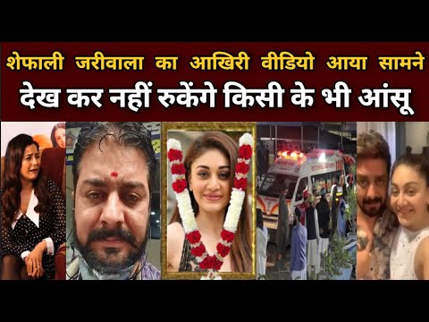 हिंदुस्तानी भाऊ के साथ आया Shefali jariwala का आखिरी वीडियो, वीडियो देखकर भावुक हुआ पूरा हिंदुस्तान