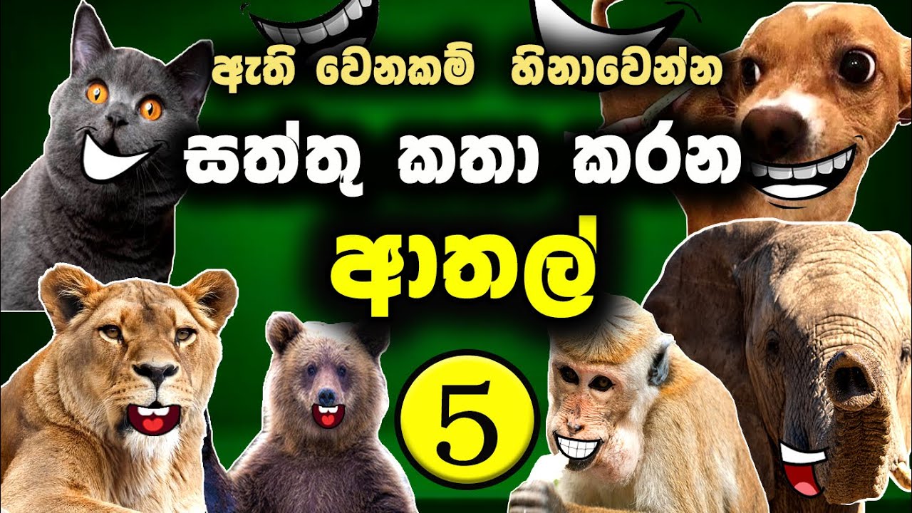 සත්තු කතා කරන ආතල් 5 කොටස Animal athal | sattu katha karana video sinhala meme | meme sri lanka 2025