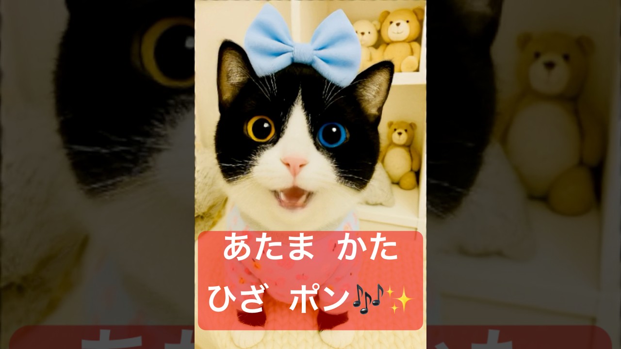 ◾️オッドアイの金目(キンメ)ちゃん🎵あたま かた ひざ ポン🎶🎙️💕 #ai猫 #catshorts #cutekitty #lipsync #あたまかたひざぽん #あそびうた #aicat