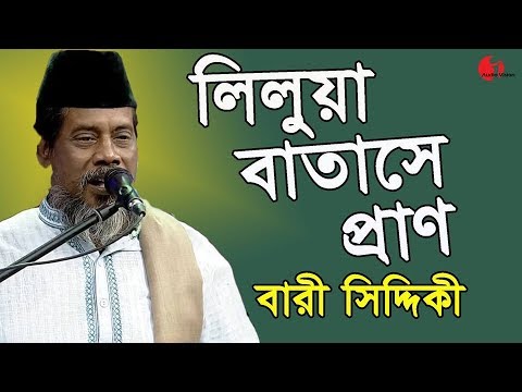 লিলুয়া বাতাসে প্রাণ | Bari Siddiqui | Amar Joto Gaan | Channel i | Iav