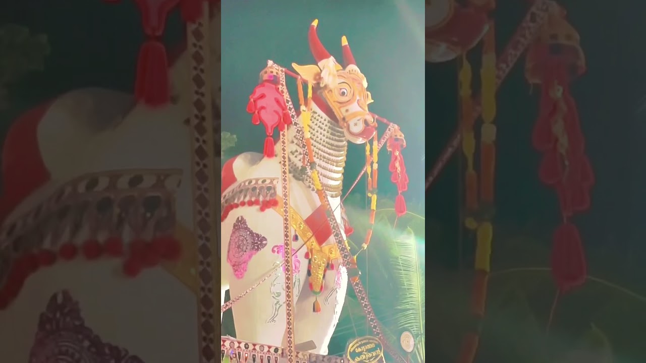 കതിരവൻ - കോട്ടാത്തല | Biggest kettukala in Asia | #kathiravan #malayalam #kerala #viral #trending