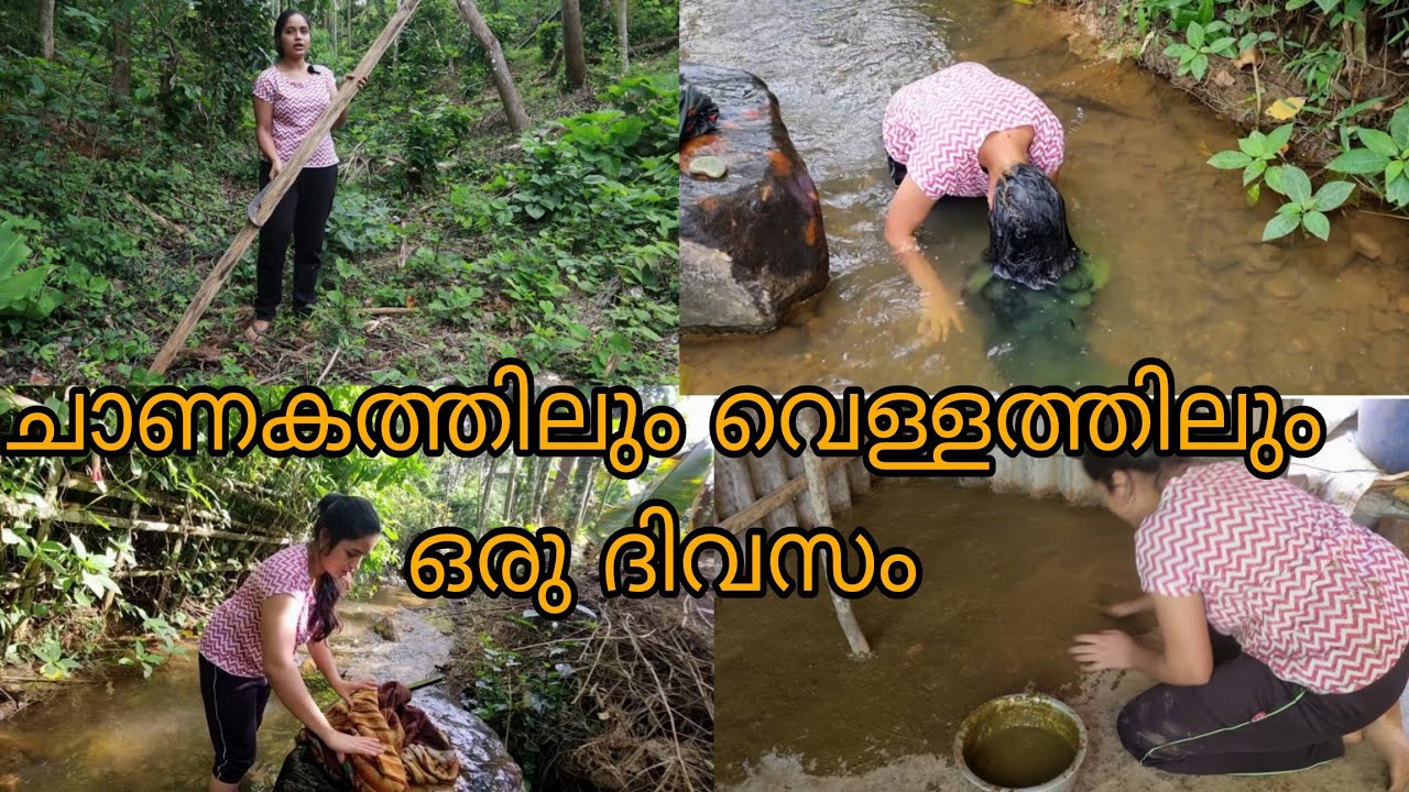 ചാണകത്തിലും വെള്ളത്തിലും ഒരു ദിവസം /Day in my life /Saranya's beauty Vlogs