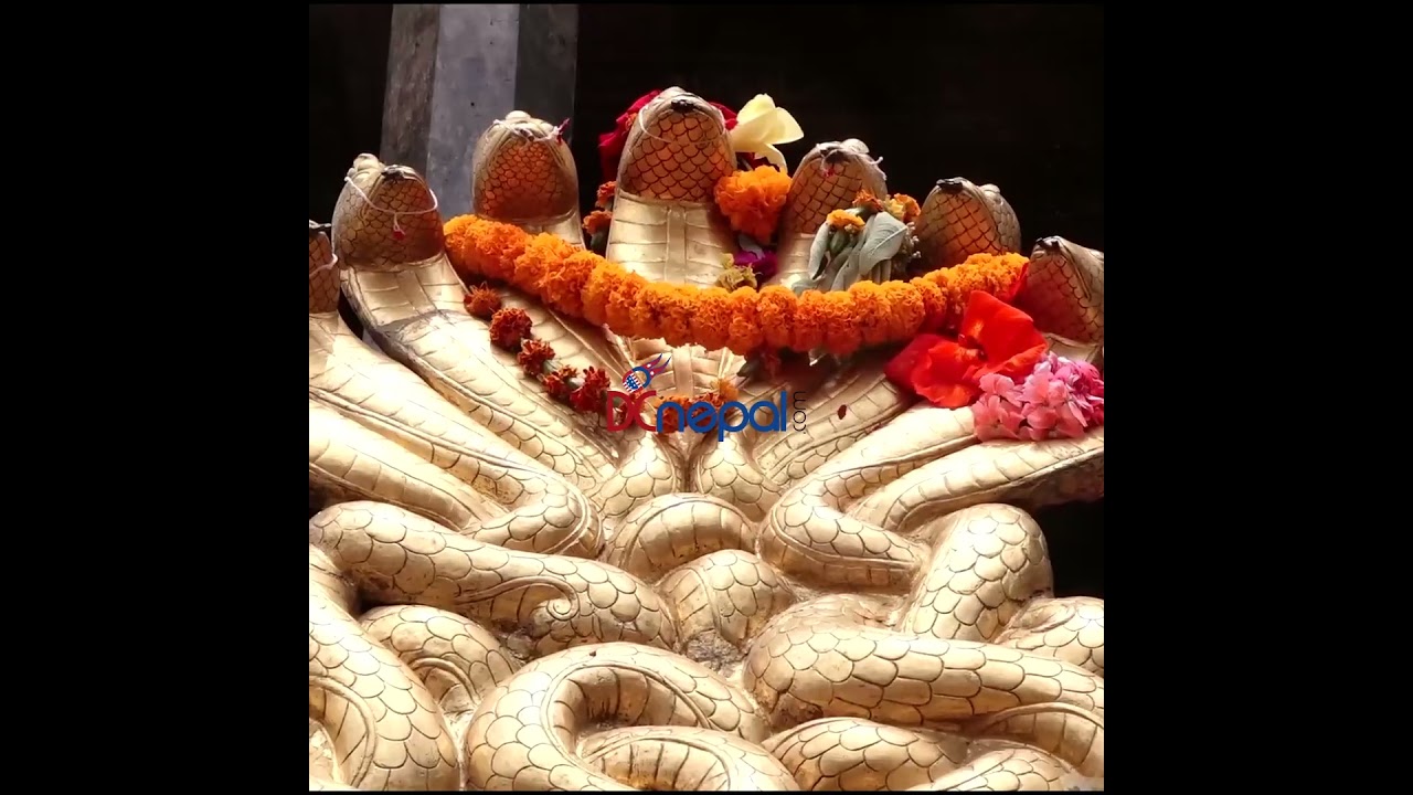 श्रीनिवास मल्लको सिंहासनको प्रदर्शनी #dcnepal #patan #shreeniwasmalla #news