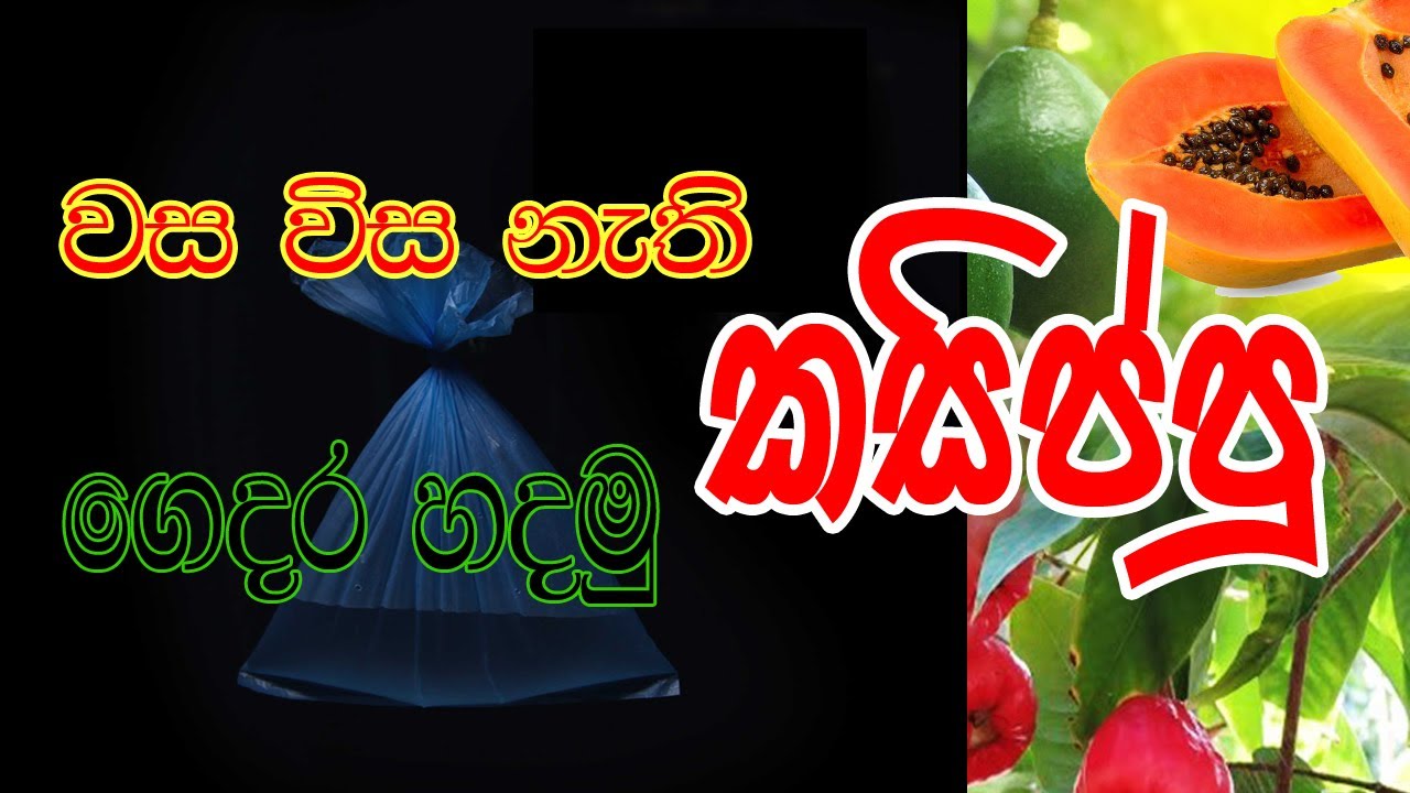 කසිප්පු ගෙදර හදමු | Home Made Kasippu | By Ataya