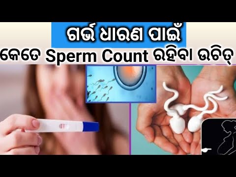 ଗର୍ଭ ଧାରଣ ପାଇଁ କେତେ Sperm Count ରହିବା ଉଚିତ୍। How to get Pregnant fast। Odia Pregnancy Tips।