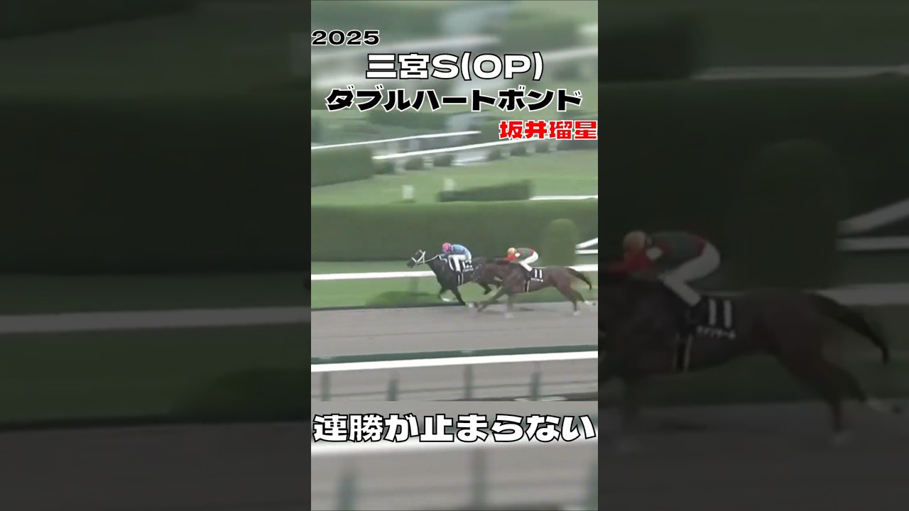 三宮ステークス ダブルハートボンド 坂井瑠星 5連勝 2025#shorts