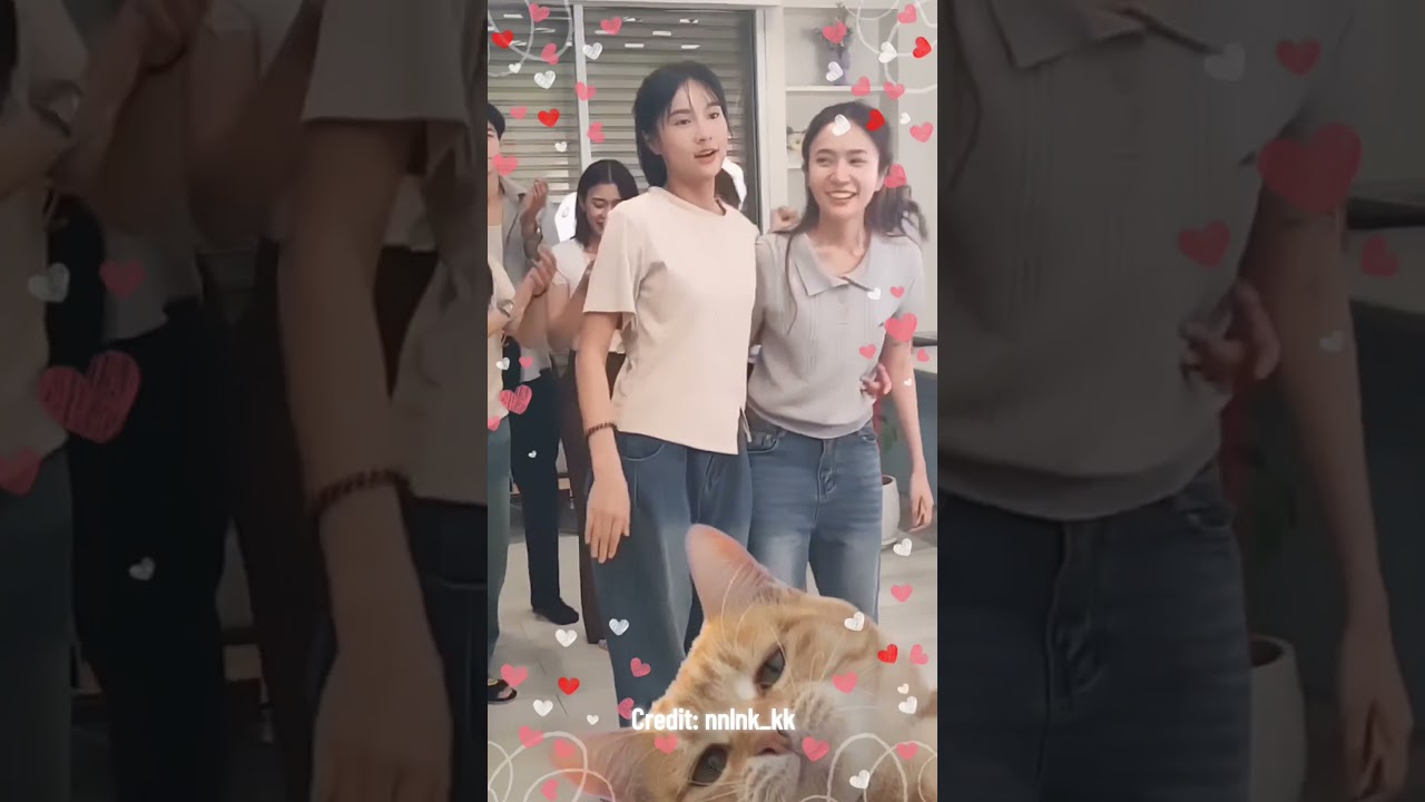 นุ่น: ก็วิกกี้ของฉันอ่ะ🥰😍❤️ ฟินมากกกกกก นุ่นวิกกี้ในไลฟ์วันนี้!!!Credit: nnlnk_kk #nune #vicky