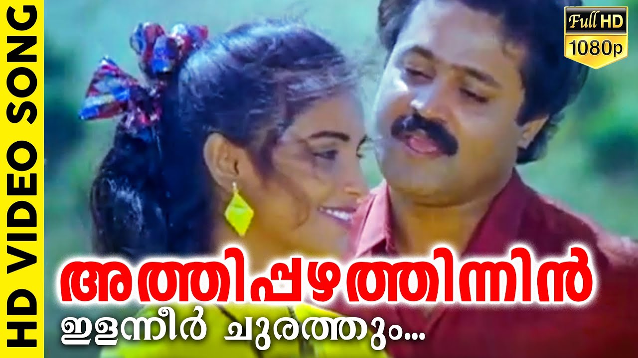 അത്തിപ്പഴത്തിന്നിളന്നീർ ചുരത്തും | Nakshathrakoodaaram | Evergreen Malayalam Film Song | Suresh Gopi