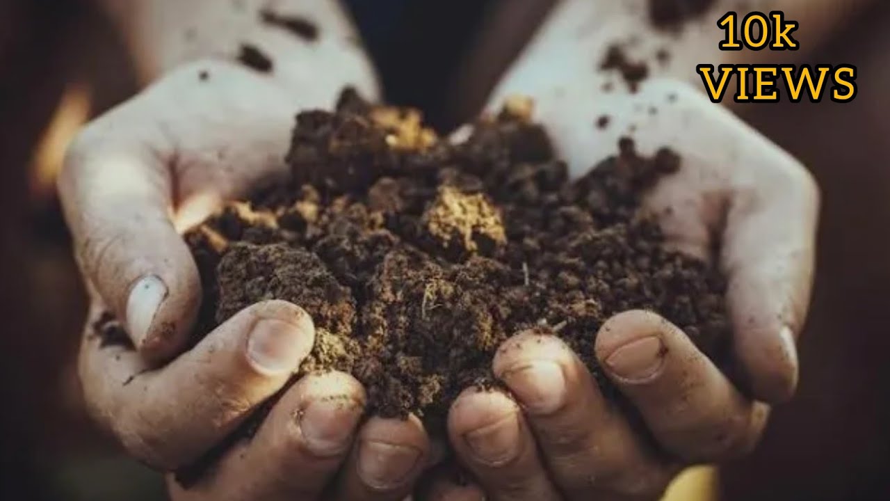 மண் வகைகள் - Types of soil | Basics of Agriculture | Uzhavu Pazhagu | Tamil