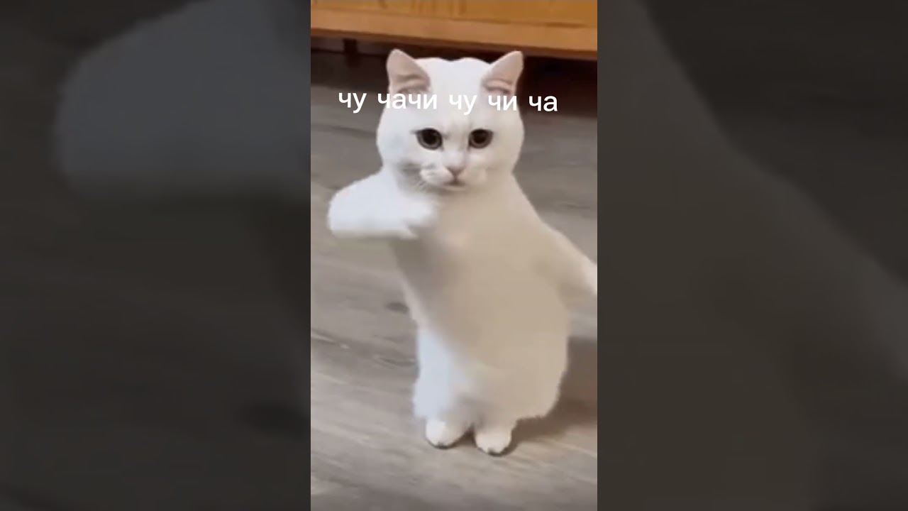 Айдахар