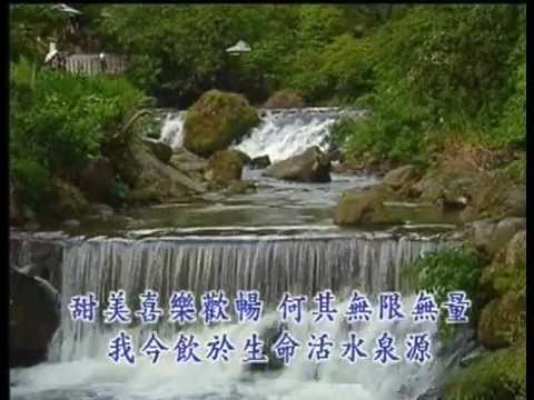 多年疲惫 未能寻到一泉源 （诗歌254）