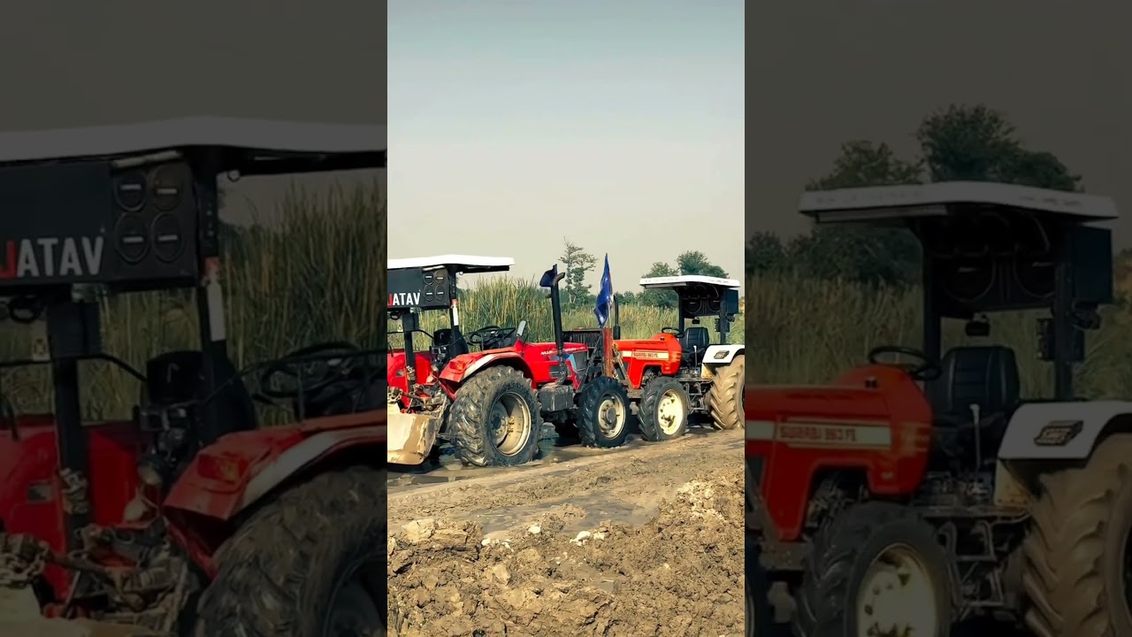 😈🤟💪🚜🚜🚜🌾🌾🌾