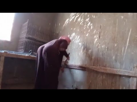 روتين فوفا فاخر من الاخر 🔥🔥 #روتين #فوفا
