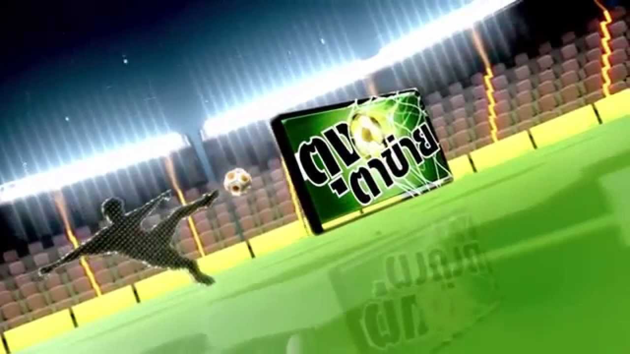 ตุงตาข่าย