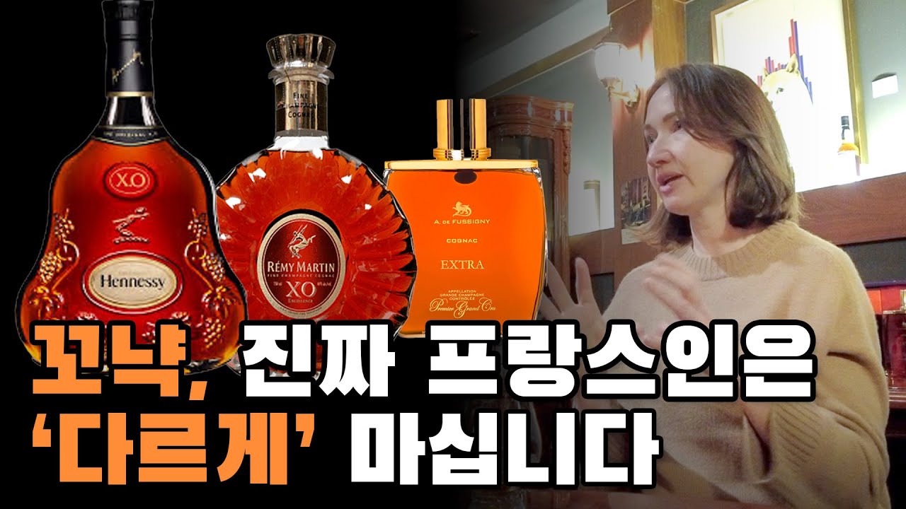 프랑스 전문가가 쉽게 알려주는 꼬냑 가이드 (입문자 필수 시청)