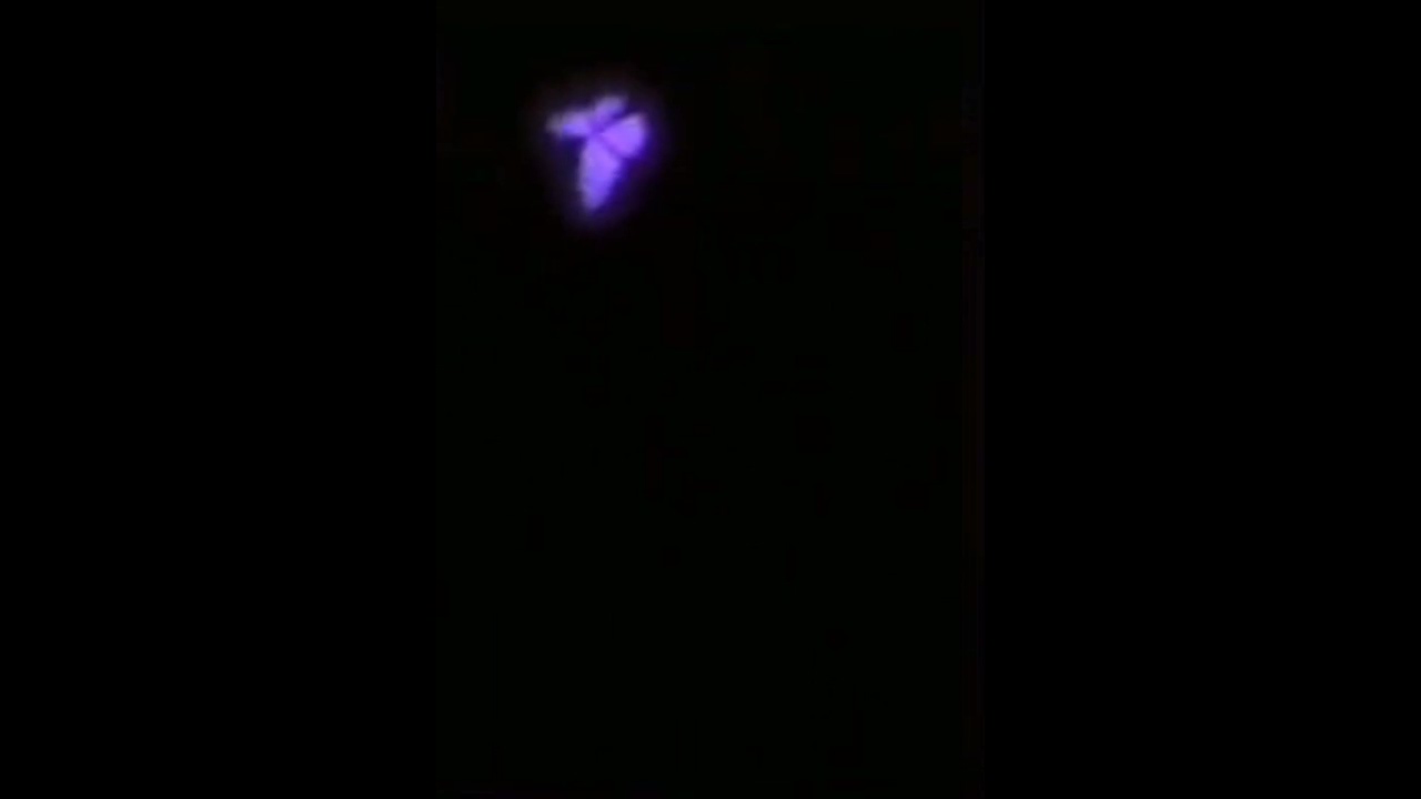 оверлей бабочки ✨