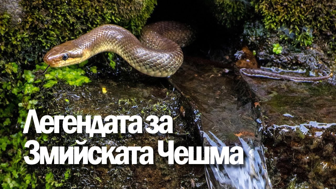 Легендата за 