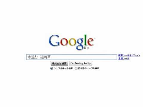 春待ついぶき