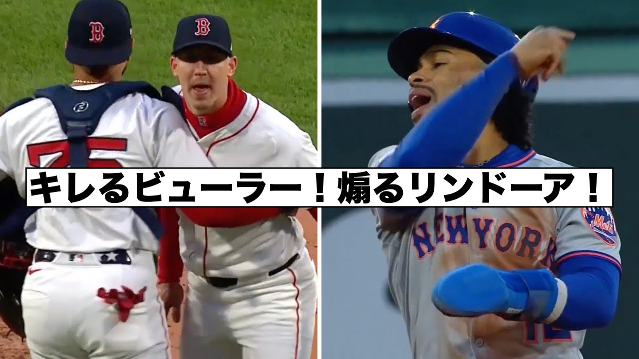 ビューラー退場を煽るリンドーア！
