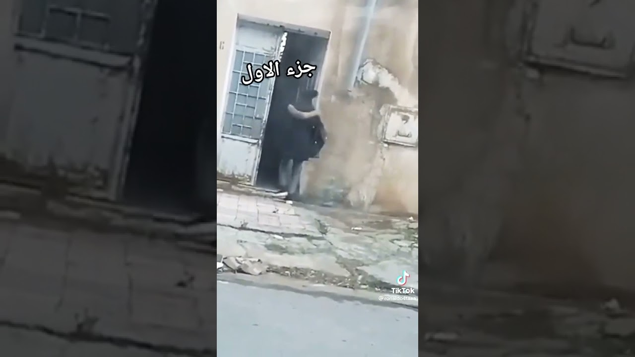 بنتي مشات تقري 🤣🤣🤣