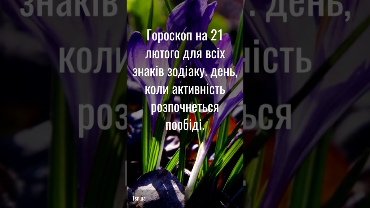 День, який – згідно з підказками зірок – чітко поділяється на дві частини, в яки....