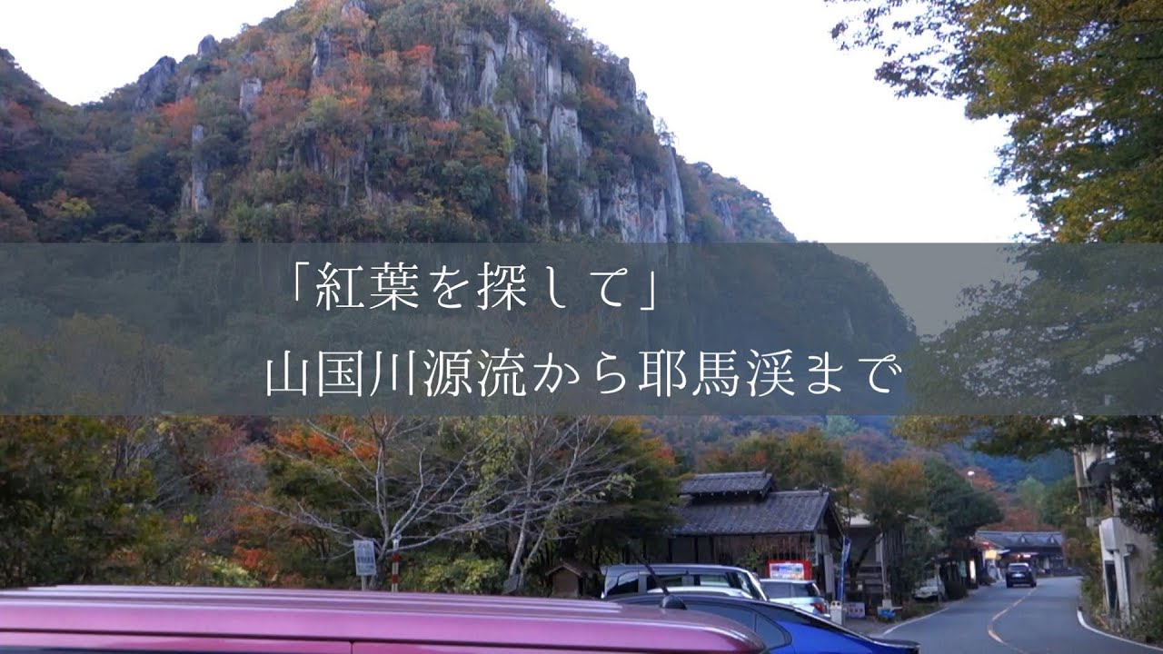 「紅葉を探して」山国川の源流から耶馬渓まで行ってみました