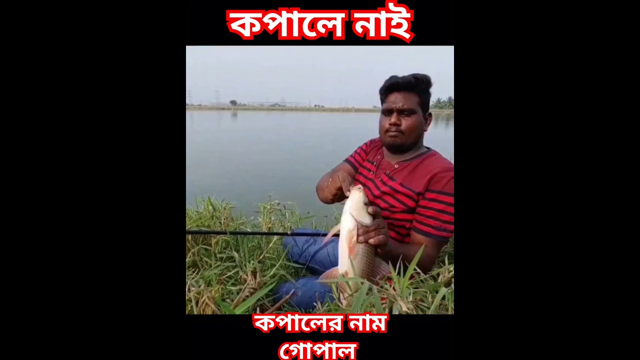 যদি ভাগ্যে না থাকে তাহলে কি করবে আপনি। মাস্টার এই ভাইয়ের কপালে ছিল না। #রুইমাছ