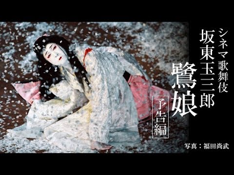 シネマ歌舞伎『鷺娘』予告編