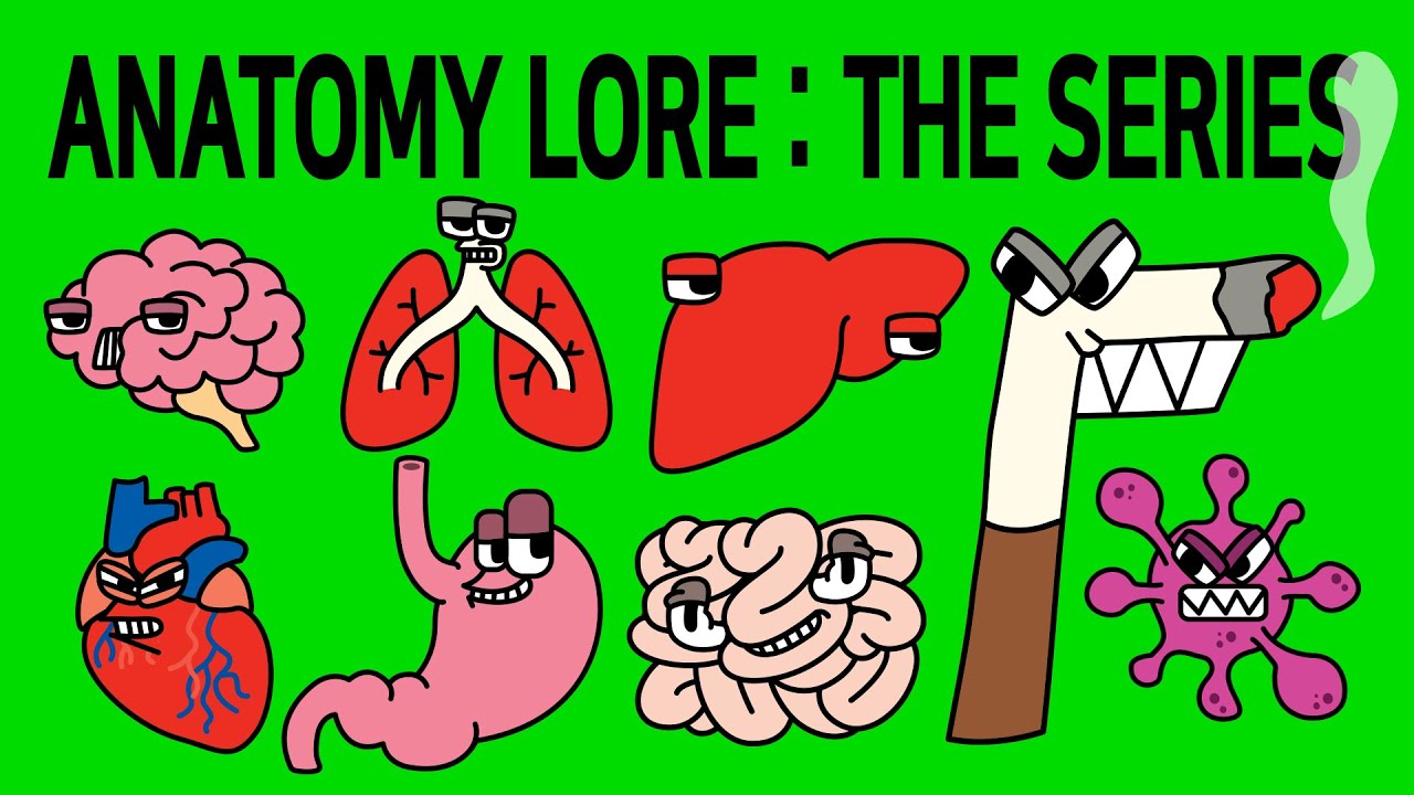 인체 로어 Anatomy Lore│Alphabet Lore meme