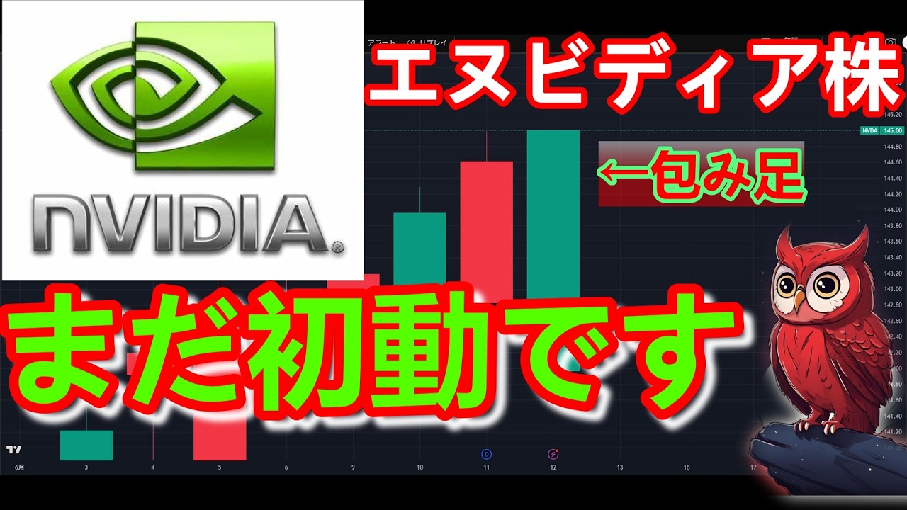 【株価上昇】エヌビディア株　今から買うか悩んでる人へ