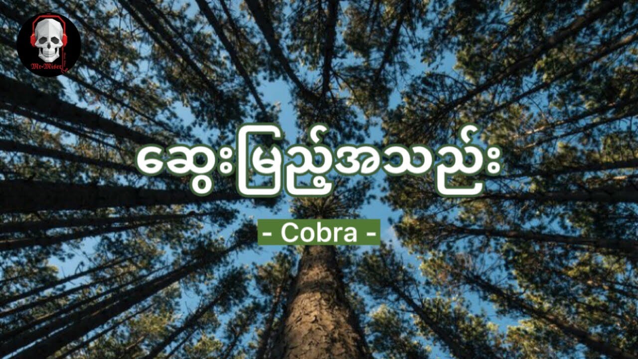 ဆွေးမြည့်အသည်း ( Cobra ) 