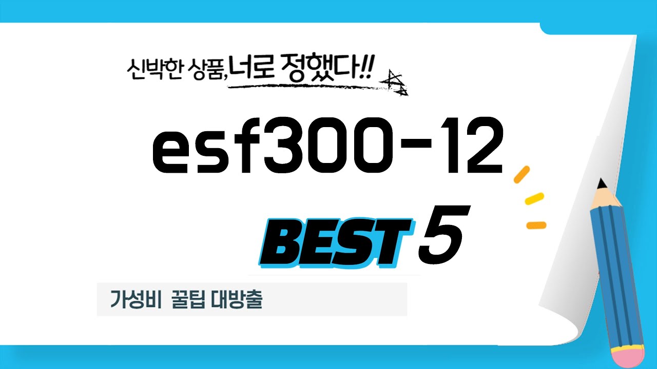가성비 인기있는 esf300-12 추천 후기 TOP5
