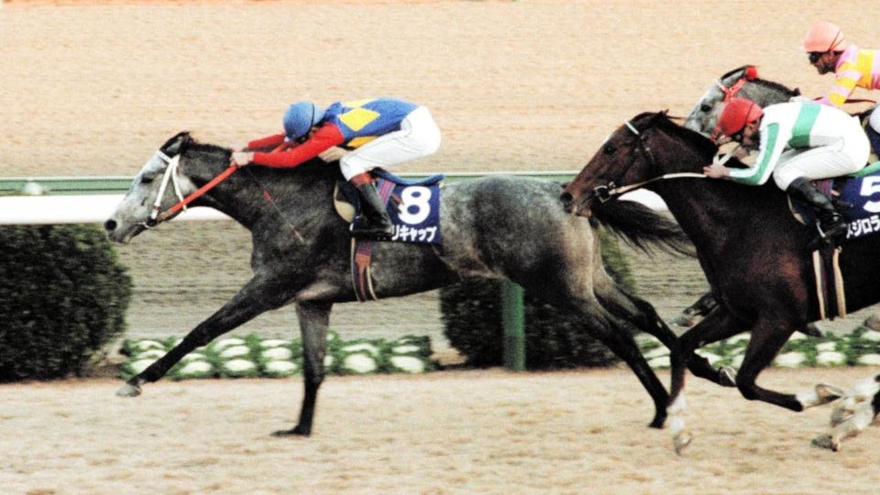 オグリキャップの中央競馬全レース